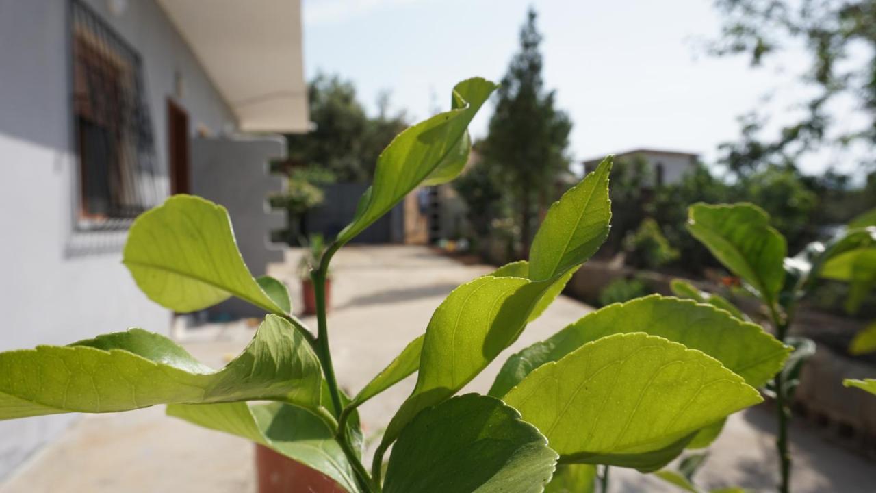 Markev Apartments Vlorë Exterior foto